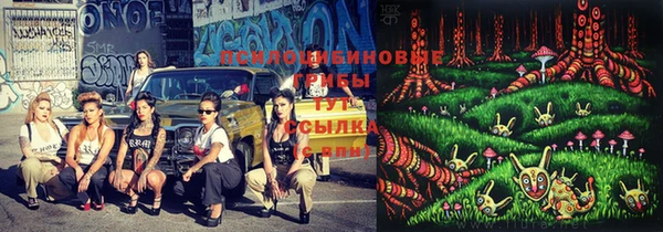марки lsd Новокубанск