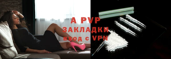 бошки Богданович