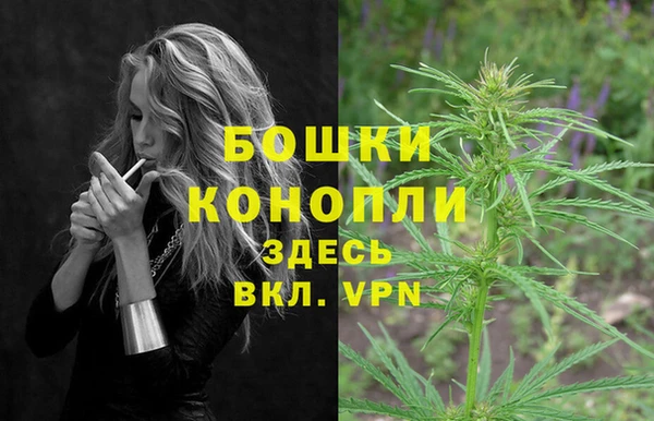 ГАЛЛЮЦИНОГЕННЫЕ ГРИБЫ Богородицк