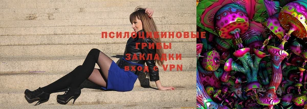 бошки Богданович