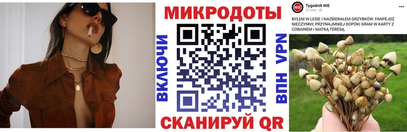 blacksprut ссылка  маркетплейс Telegram  Псилоцибиновые грибы Magic Shrooms  купить наркоту  Боровск 