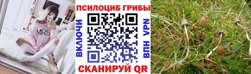 Псилоцибиновые грибы Magic Shrooms Боровск